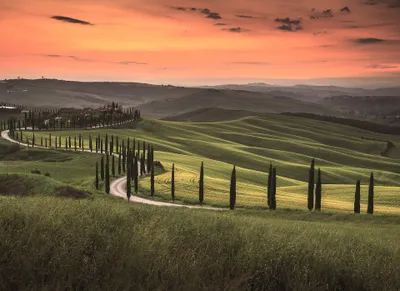 Produktbild von Fototapete Toskana in Sonnenuntergang | Fototapete mit Landschaft in Italien in Grün Orange | Romantische Tapete ideal f