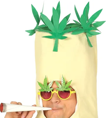 Image de Costume Joint Chanvre Hippie pour hommes