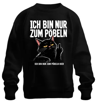 Immagine prodotto di Maglietta/Felpa con scritta "Sono qui solo per insultare", stile "Nera", taglia 3XL