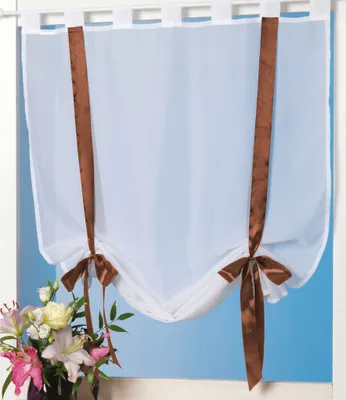 Produktbild von Raffgardine mit Schlaufen, Größe: 100x160cm, Farbe: Braun