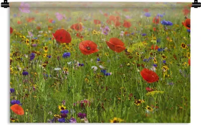 Produktbild von MuchoWow® Wandteppich Wandbehang Frühling - Blumen - Rot - Mohn - Gras - Grün 60x40 cm Tapisserie Dekoration Wandtuch - Wanddekorationen