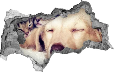 Produktbild von Selbstklebender Loch-3D-Aufkleber 95x73 cm Welpe und Katze