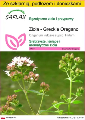 Zdjęcie produktu dla SAFLAX - Zestaw do uprawy - Zioła - Greckie Oregano - 600 Nasiona - Z mini szklarnią, podłożem uprawowym i 2 doniczkami - Origanum vulgare supsp. Hirtum