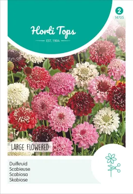 Produktbild von Skabiose Hohe Gefüllte Mischung | Blumensamen von Hortitops