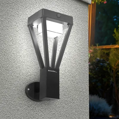 Produktbild von esotec Solar PIR Wandleuchte Dorea, 40 LEDs, neutralweiß, 4000K, ALU 102951