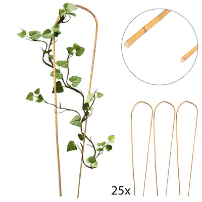 Produktbild von 4iQ Bambusbogen für Pflanzen Stütze 45 cm 25 Stück gebogener Bambusstab
