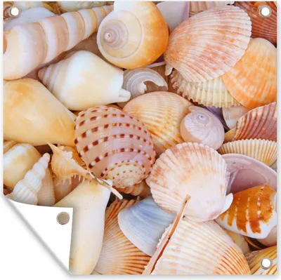 Produktbild von MuchoWow® 50x50 cm Outdoor-Poster Gartendeko Sichtschutz Garten Poster für den Garten  Muscheln - Strand - Sommer - Orange