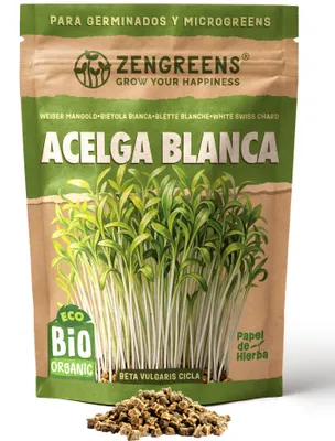 Imagen del producto de ZenGreens® Semillas Eco Microgreens Acelga Blanca 200 g – para Germinar