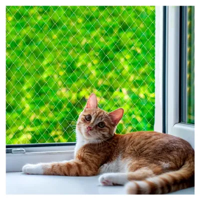 Produktbild von Katzenschutznetz aus Nylon für Balkon, transparent, zuschneidbar und bissfest, zur Absicherung von Terrasse, Fenstern und Türen (3x3 m)