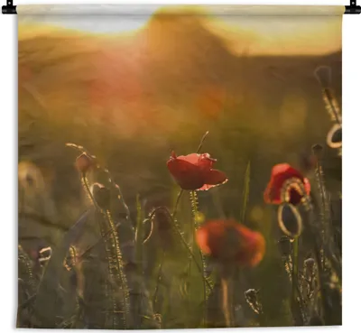 Produktbild von MuchoWow® Wandteppich Wandbehang Mohn - Sonnenuntergang - Gold 60x60 cm Tapisserie Dekoration Wandtuch - Dekorationen - Wand Decke