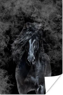 Produktbild von MuchoWow® Poster Pferd - Schwarz - Smoke 120x180 cm - Kunstposter