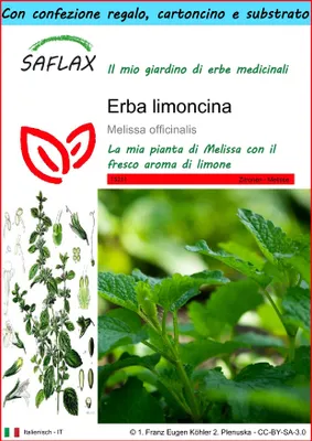 Immagine prodotto di SAFLAX Set regalo - Erba limoncina - 150 semi - Melissa