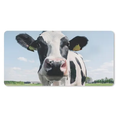 Produktbild von MuchoWow® Schreibtischunterlage Kuh - Wiese - Natur - Tiere - Gras 80x40 cm - XXL Mauspad - Gaming Mauspad