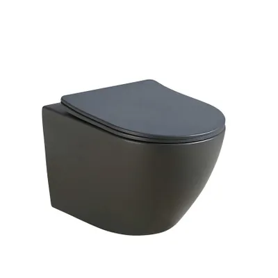A wall-mounted toilet with a dark gray body and a gray toilet seat, shown against a white background.