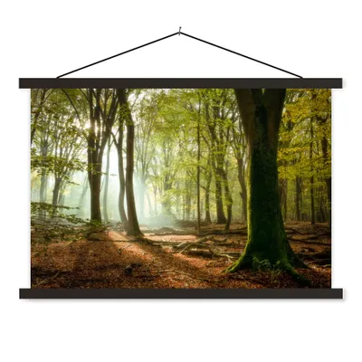 Produktbild von MuchoWow® Textilposter Wald - Sonne - Jahreszeiten - Landschaft 60x40 cm mit schwarzem Rahmen - Hölzernes