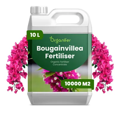 Zdjęcie produktu dla Bougainvillea Nawóz Płynny 10 L – 2-1-8 NPK – Do Kvitnúce Rośliny – Do Bujne Kwiaty i Silne Pędy – Podporuje Korzenie i Vitalitu – Organifer