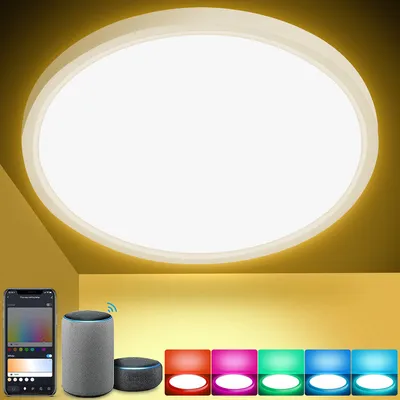 Produktbild von 24W Smart LED Deckenleuchte mit Alexa & Google für Badezimmer, RGB-Flurlampe, dimmbar