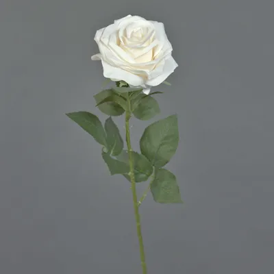 Produktbild von artplants.de Kunstrose Kailin, Creme, 65 cm - Künstlicher Blumenzweig