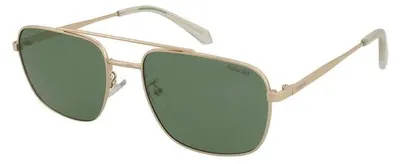 Produktbild von Sonnenbrille Polaroid PLD 4214/G/S/X PEF/UC