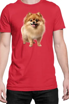 Immagine prodotto di Maglietta da uomo Dogs Breeds Pomeranian Dog Breed 005, Man M , Rouge