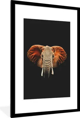 Produktbild von MuchoWow® MuchoWow® Gerahmtes Poster Elefant - Schwarz - Kopf 60x90 cm - Poster mit zchwarzem Bilderrahmen - Dekoration - Wandposter Wohnzimmer - Hochwertig