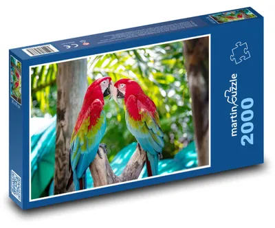 Obrázek produktu pro martinpuzzle - Puzzle 2000 - Papoušek