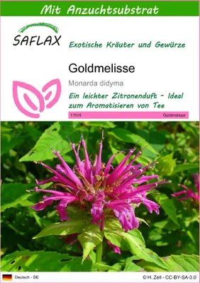 Produktbild von SAFLAX - Goldmelisse - Monarda didyma - 20 Samen - Mit keimfreiem Anzuchtsubstrat