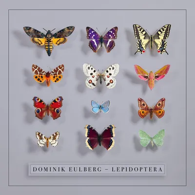 Obrázok produktu pre Dominik Eulberg: Lepidoptera