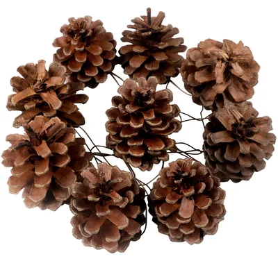 9er Set Hängende Tannenzapfen, Weihnachtsdeko, 3 cm Ø