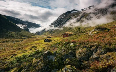 Produktbild von Sanders & Sanders Fototapete Landschaft Grün und Weiß 450 x 280 cm