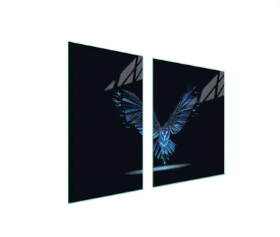 Produktbild von Herdabdeckplatten 2 teilig 100x52 Glaskeramikkochfeld Abdeckung Glas Schneidebrett Vogel Schwarz