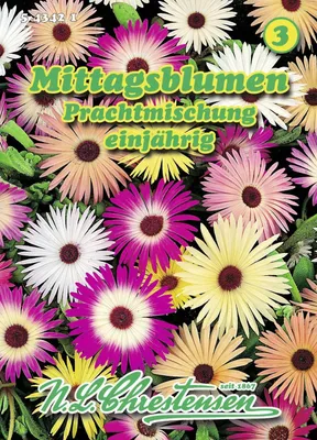 Produktbild von Mittagsblume PrachtMischung  | Blumensamenmischung von N.L. Chrestensen