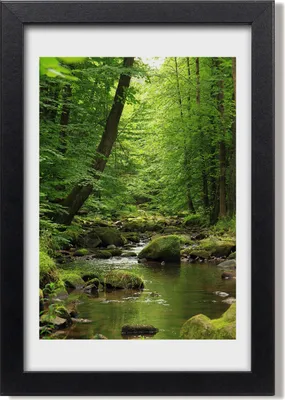 Produktbild von Bild 20x30 MDF-Rahmen, Wandkunst Fluss im Wald
