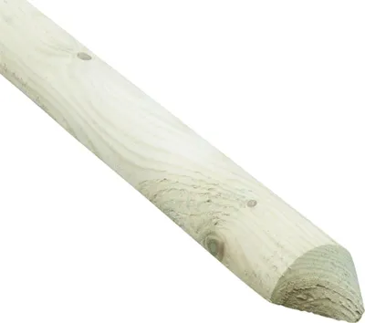 Produktbild von Zaunlatte 80 cm, 31 x 55 mm, kesseldruckimprägniert