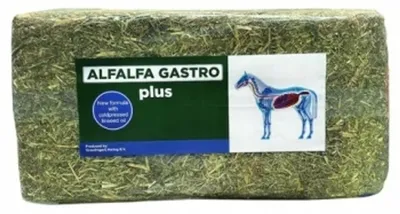 Zdjęcie produktu dla Eggersmann Alfalfa Gastro PLUS – sieczka dla koni, z olejem lnianym, 18 kg