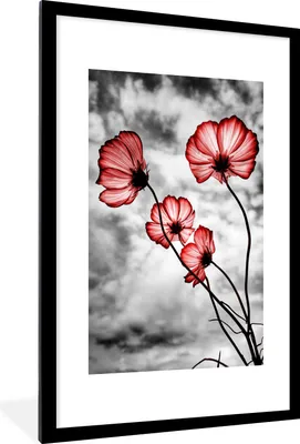 Produktbild von MuchoWow® MuchoWow® Gerahmtes Poster Blumen - Schwarz - Weiß - Rot 60x90 cm - Poster mit zchwarzem Bilderrahmen - Dekoration - Wandposter Wohnzimmer - Hochwertig