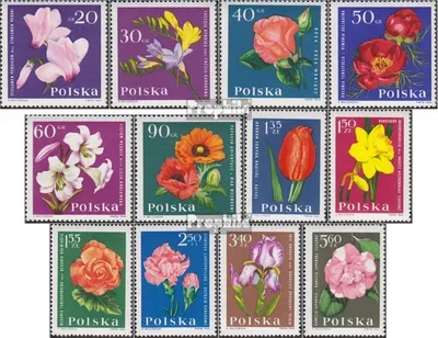 Produktbild von Briefmarken Polen 1964 Mi 1541-1552 (kompl.Ausg.) postfrisch Gartenblumen