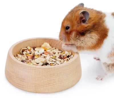 Productafbeelding van Houten Hamster Voerbak - Voor Syren en Dwerghamsters