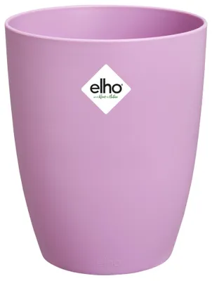 Produktbild von brussels orchidee hoch 12,5cm kräftiges violet
