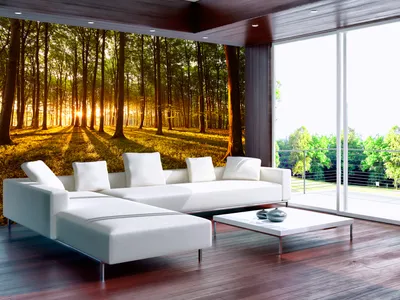Produktbild von Vlies Fototapete Wald 350x256 cm Tapeten Wandtapete XXL Sonnenschein Bäume Natur Landschaft c-B-0027-a-c