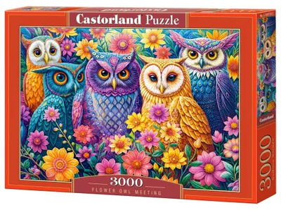 Immagine prodotto di Puzzle 3000 Gufo Fiore Riunione CASTOR