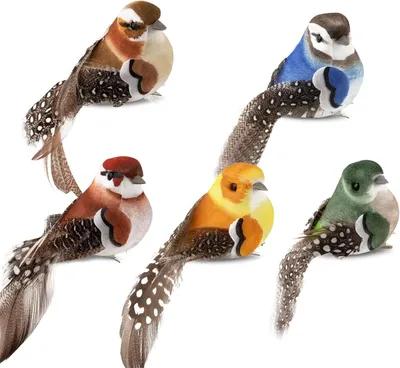 Image de Décorations d'oiseaux à clipser, 5 oiseaux en plastique colorés, résistants aux UV et aux intempéries, pour jardin et événements