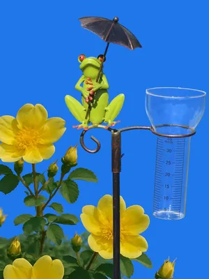 Produktbild von Regenmesser mit Frosch und Regenschirm sowie Halter für Meisenknödel - dekorative Gartendekoration