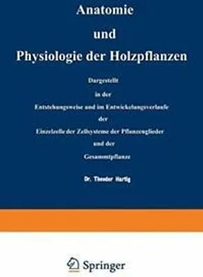 Produktbild von Anatomie und Physiologie der Holzpflanzen
