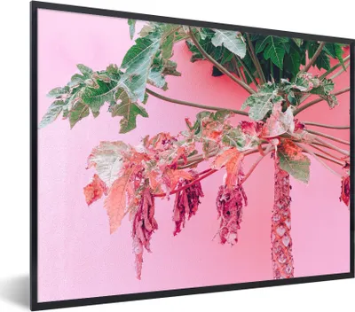 Produktbild von MuchoWow® Gerahmtes Poster Palme - Tropisch - Rosa - Sommer 80x60 cm - Poster mit Schwarzem Bilderrahmen Wandposter Rahmen Foto Bilder - Schwarzem - Mit Gestell
