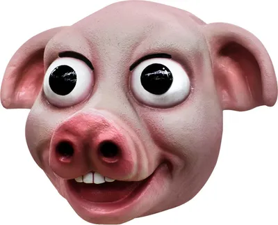 Produktbild von Verrücktes Schwein