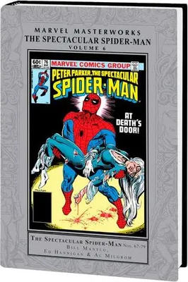 Image de Marvel Masterworks: The Spectacular Spider-Man Vol. 6