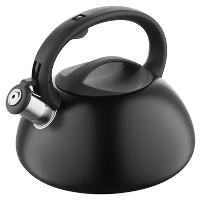 Produktbild von FLORINA Wasserkessel 2,5L I Edelstahl Teekessel LUKE I Flötenkessel mit Automati