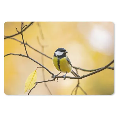 Produktbild von MuchoWow® Schreibtischunterlage Kohlmeise - Zweig - Vogel - Tiere 60x40 cm - XXL Mauspad - Großes Mauspad