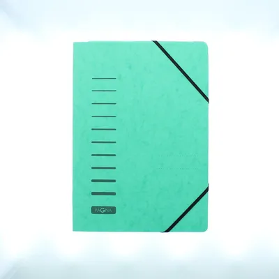 Immagine prodotto di Pagna® 24007-03 Cartella elastica - A4, 150 fogli, cartoncino, verde